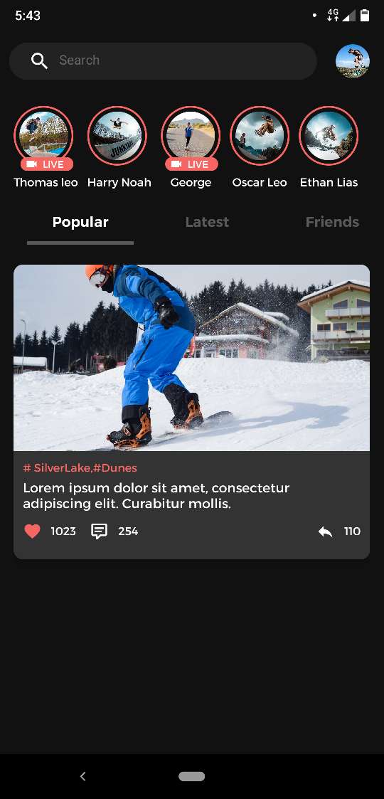 Ski Montana Popular Screen