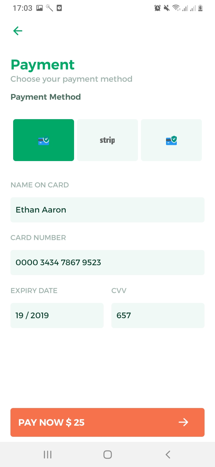 Lawn Clean Payment Screen