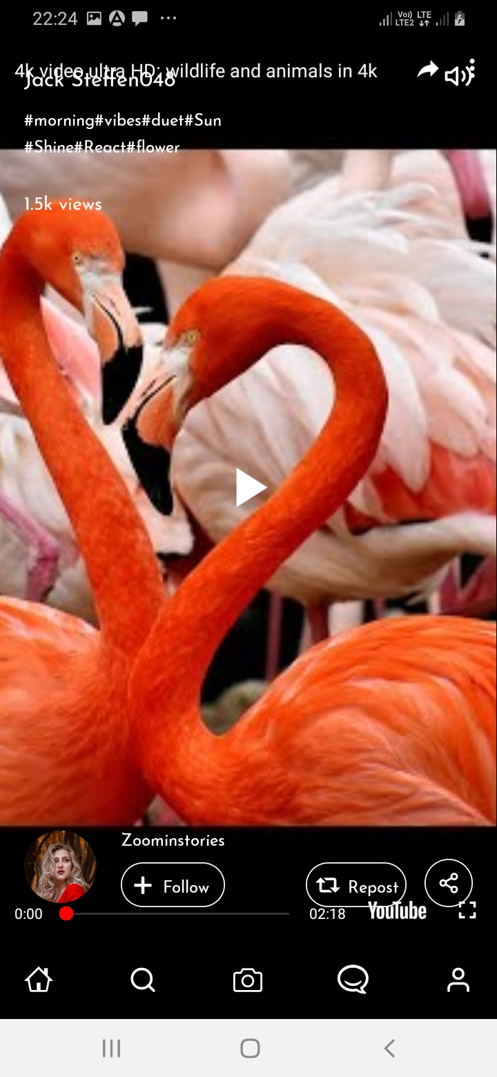 SnapTok Home Continue Screen