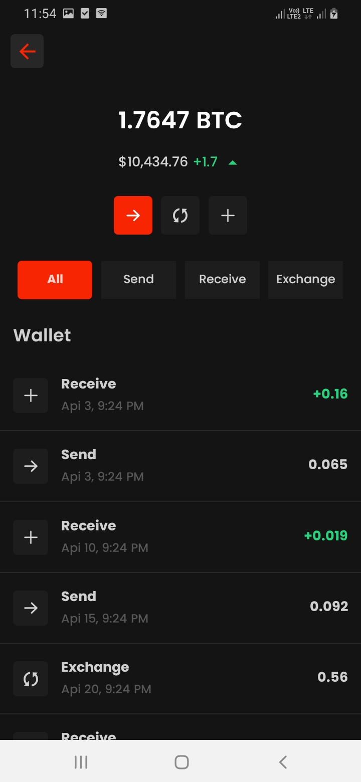 BitCoiin Wallet Detail Screen